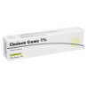 Cloderm Creme 1% (50 g) – PZN 976563
