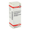 Carduus Marianus D 1 Dilution (20 ml) – PZN 2117870