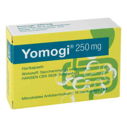 Yomogi 250mg 5 Billionen Zellen (10 stk) – PZN 11885912