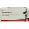 ISCUCIN PINI STAERKE A, 50X1 ML – PZN 4429088