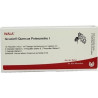 ISCUCIN QUERCUS PR I, 10X1 ML – PZN 3083475
