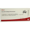 ISCUCIN CRATAEGI PR I, 10X1 ML – PZN 3083357