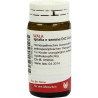 IGNATIA E SEMINE D12, 20 G – PZN 8786253