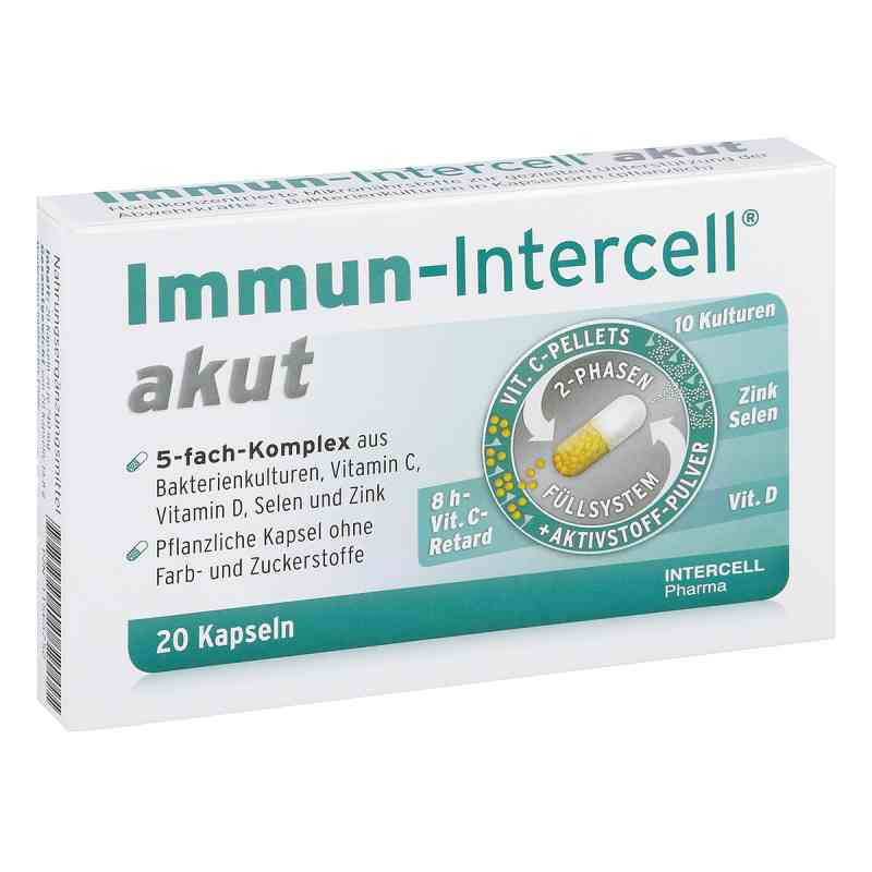 Immun Intercell akut Hartk.m.veränd.wst.-frs. (20 stk) – PZN 11563752