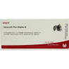 ISCUCIN PINI STAERKE B, 10X1 ML – PZN 4429094