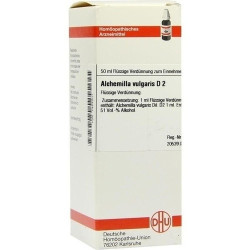 ALCHEMILLA VULG D 2, 50 ML – PZN 7454201