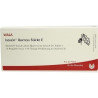 ISCUCIN QUERCUS STAERKE E, 10X1 ML – PZN 3083423